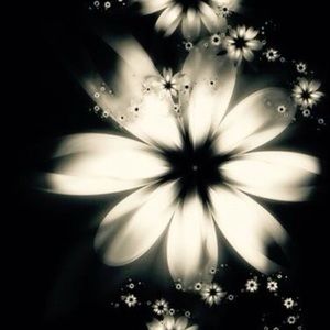 Meet your Posher, Lola